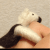 mのプロフィール画像