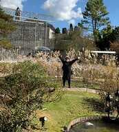 Mami.Uedaのプロフィール画像