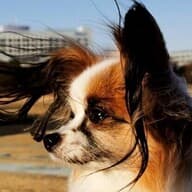 Makikkoのプロフィール画像