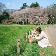 a.kawasakiのプロフィール画像