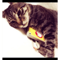 youliangdaoのプロフィール画像