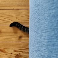 asa1984のプロフィール画像