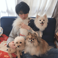 senのプロフィール画像