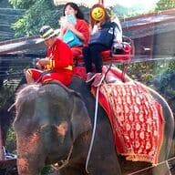 kbminaのプロフィール画像