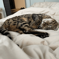 今井のプロフィール画像