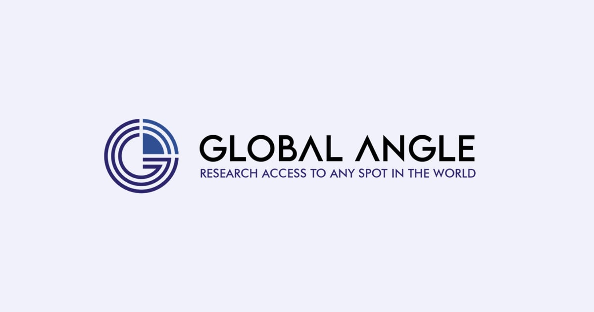 【Global Angle】シニアマネージャー（日本公共セクタープロジェクト）　＠リモートワーク（東京）