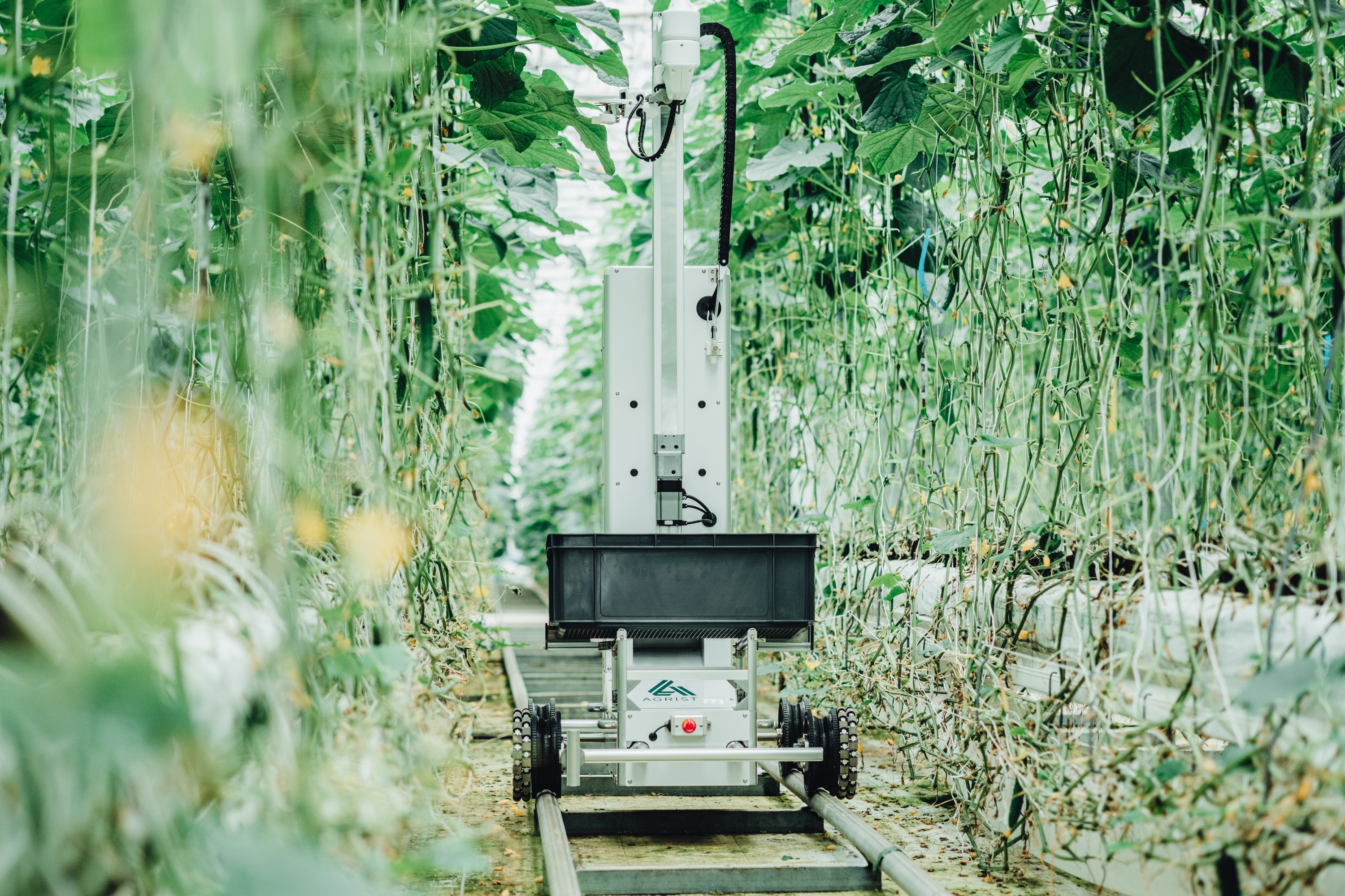 【Agri】農場栽培管理スタッフ