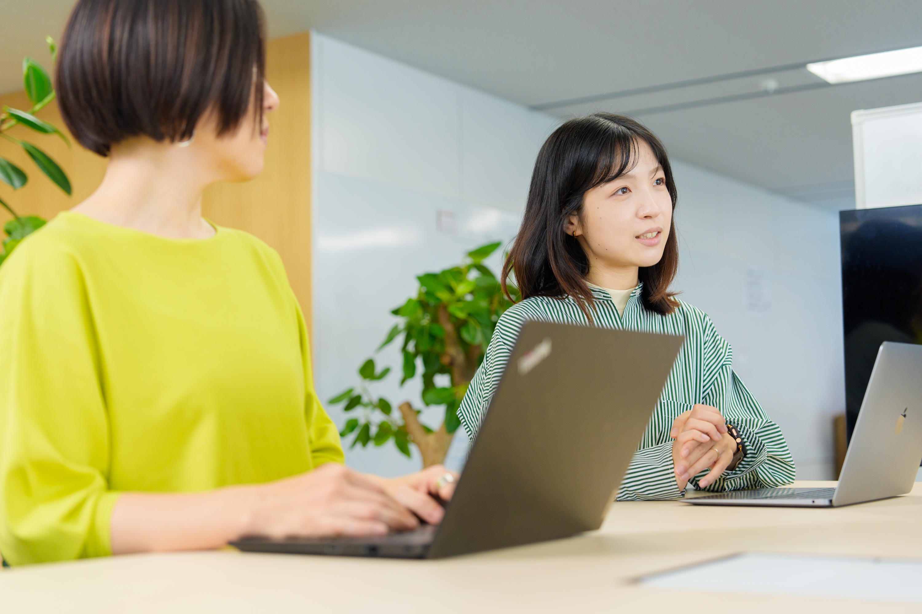 広報責任者（日本国内）