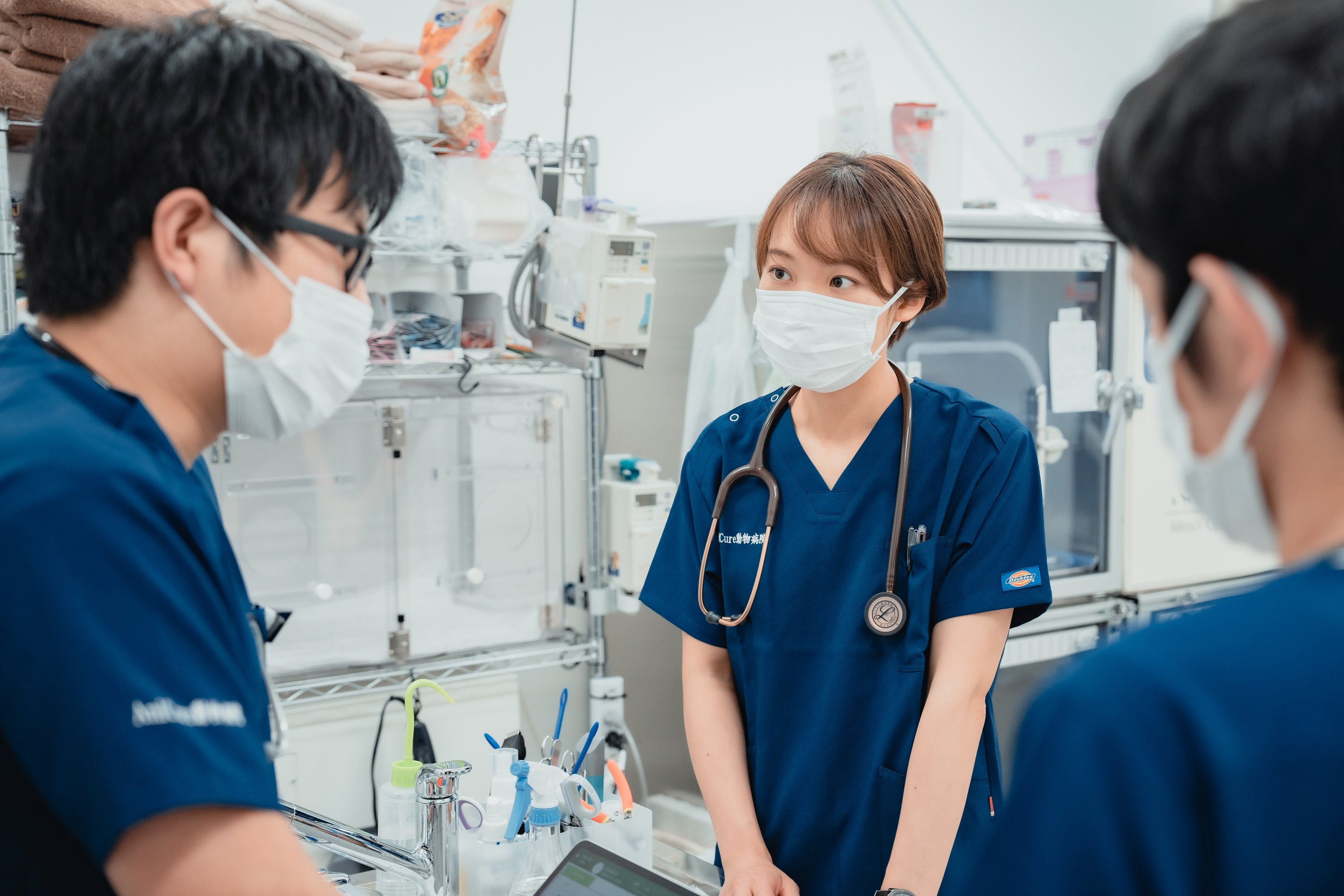 【中途採用/正社員】獣医師