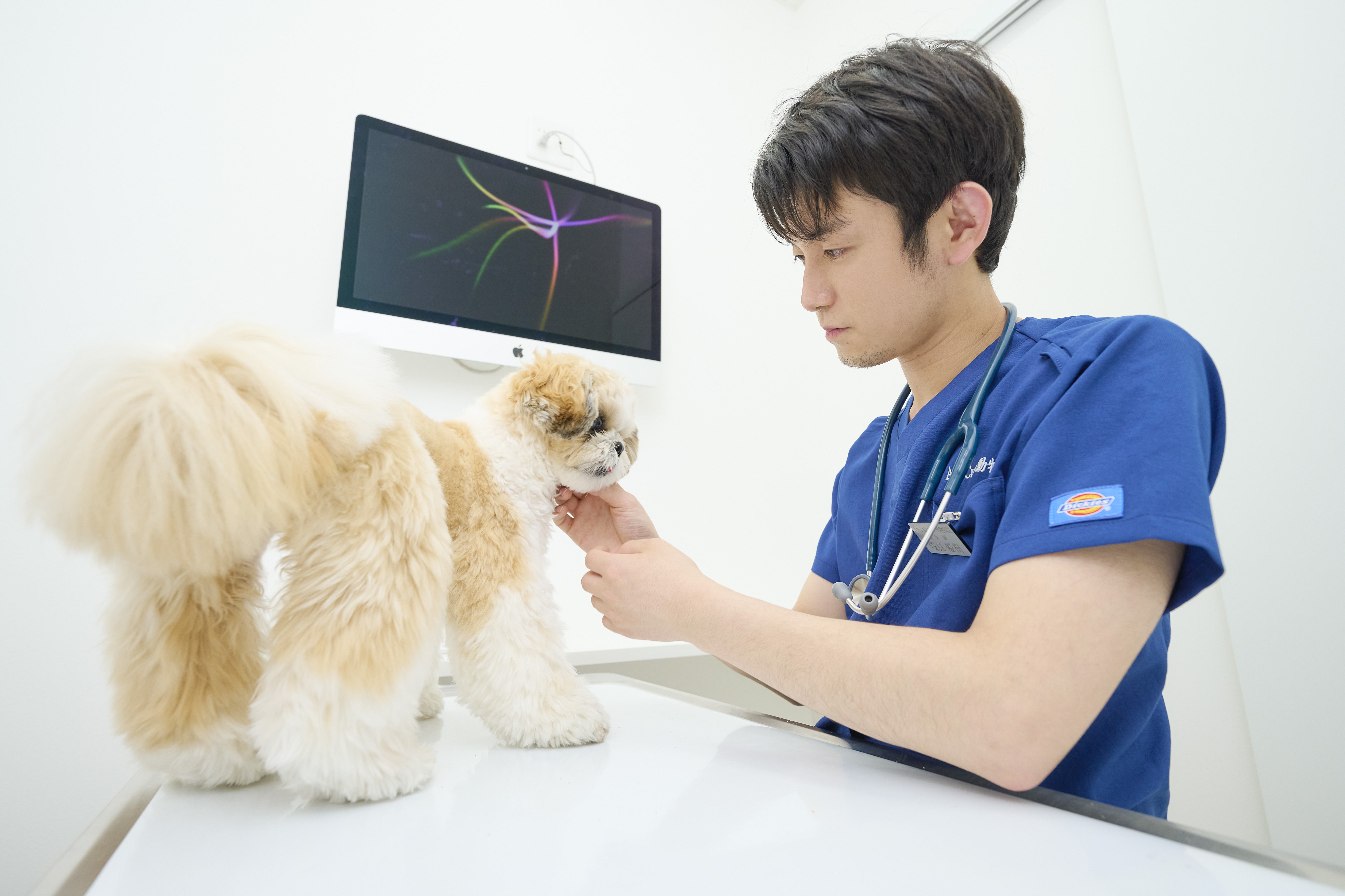 【中途採用/正社員】獣医師