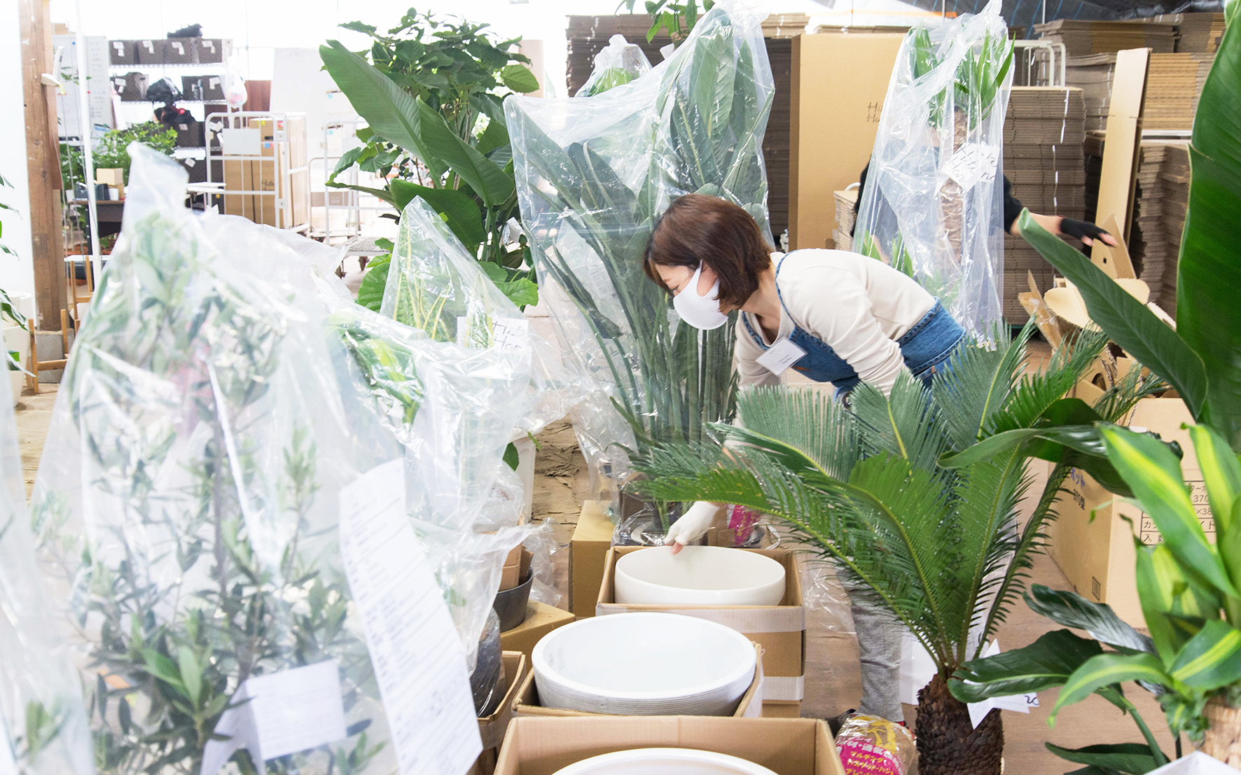 【さいたま】事務・梱包_短期パートナー(母の日繁忙期)