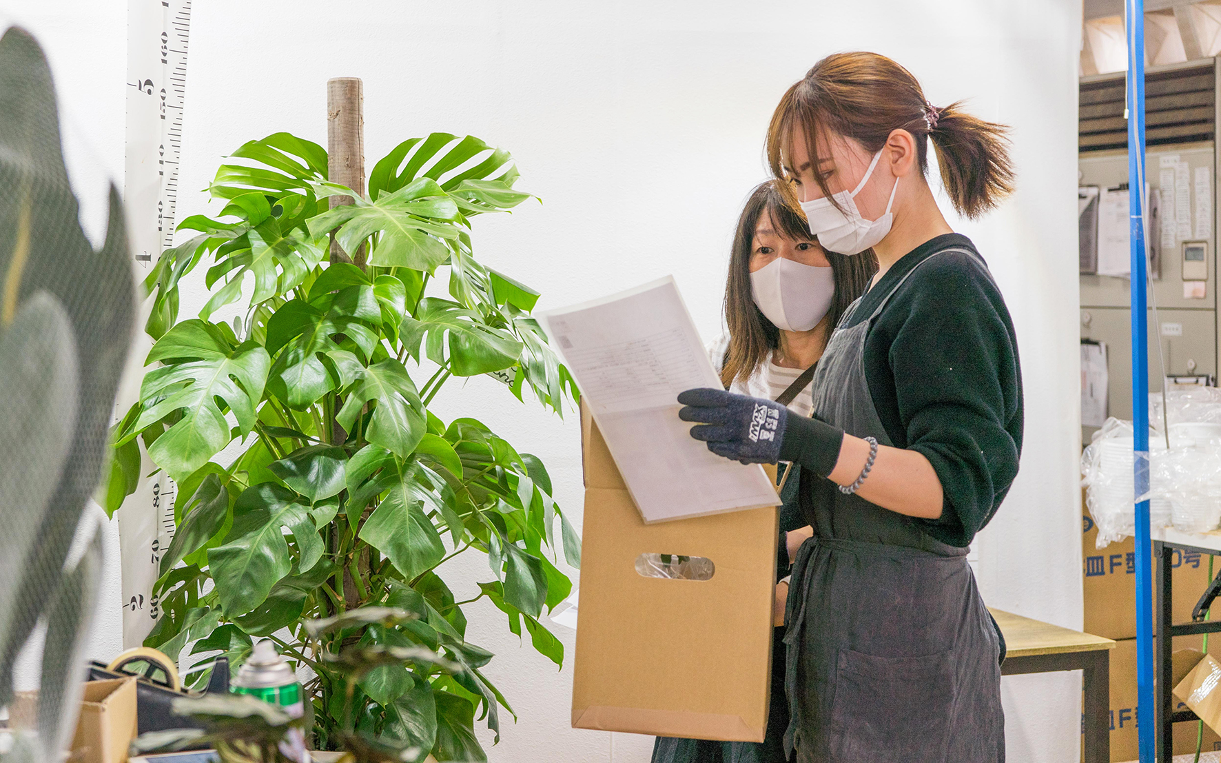 【さいたま】観葉植物の出荷・品質管理リーダー候補_長期パートナー