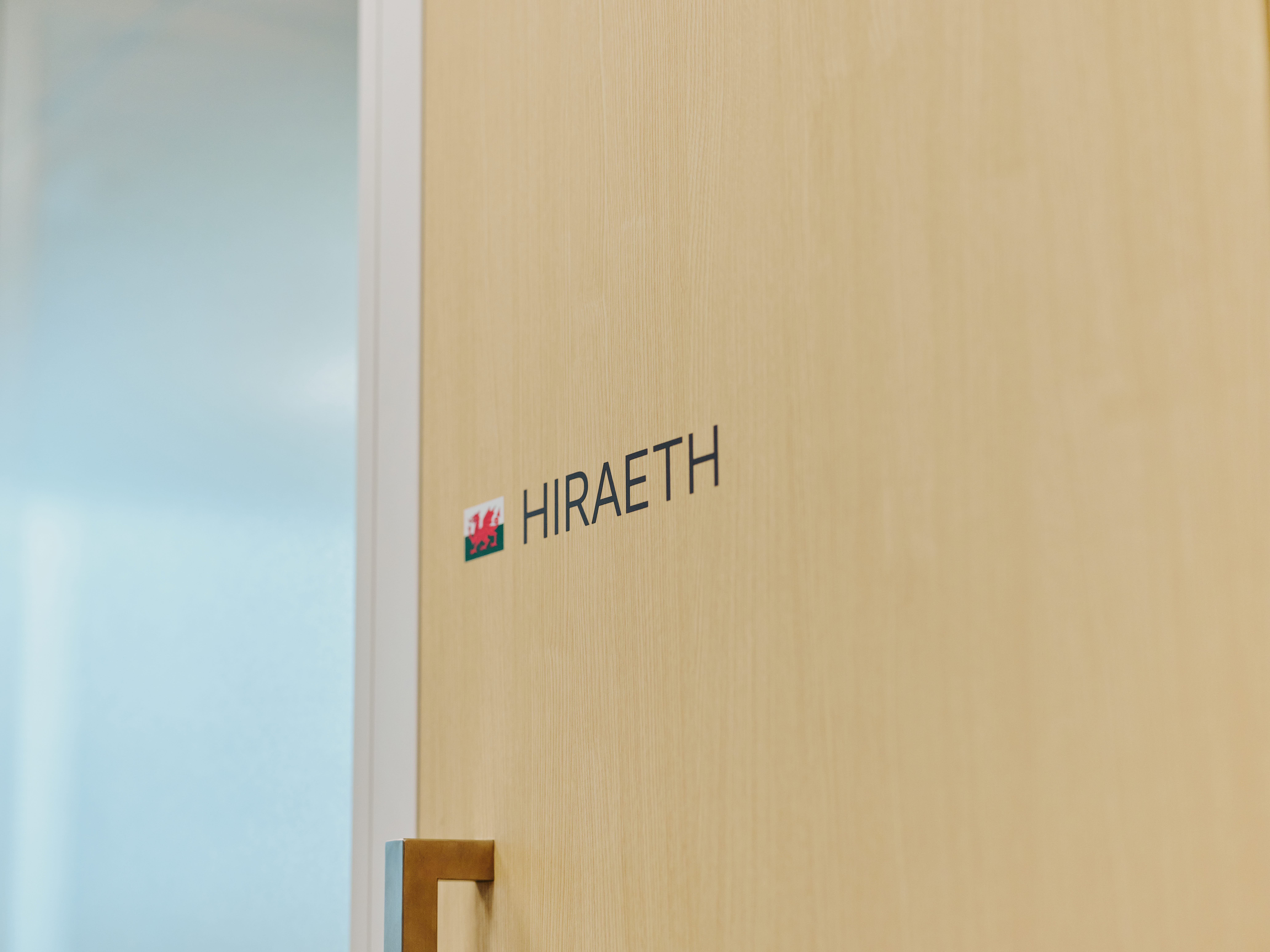 全社オペレーション戦略リード（BPR責任者候補）