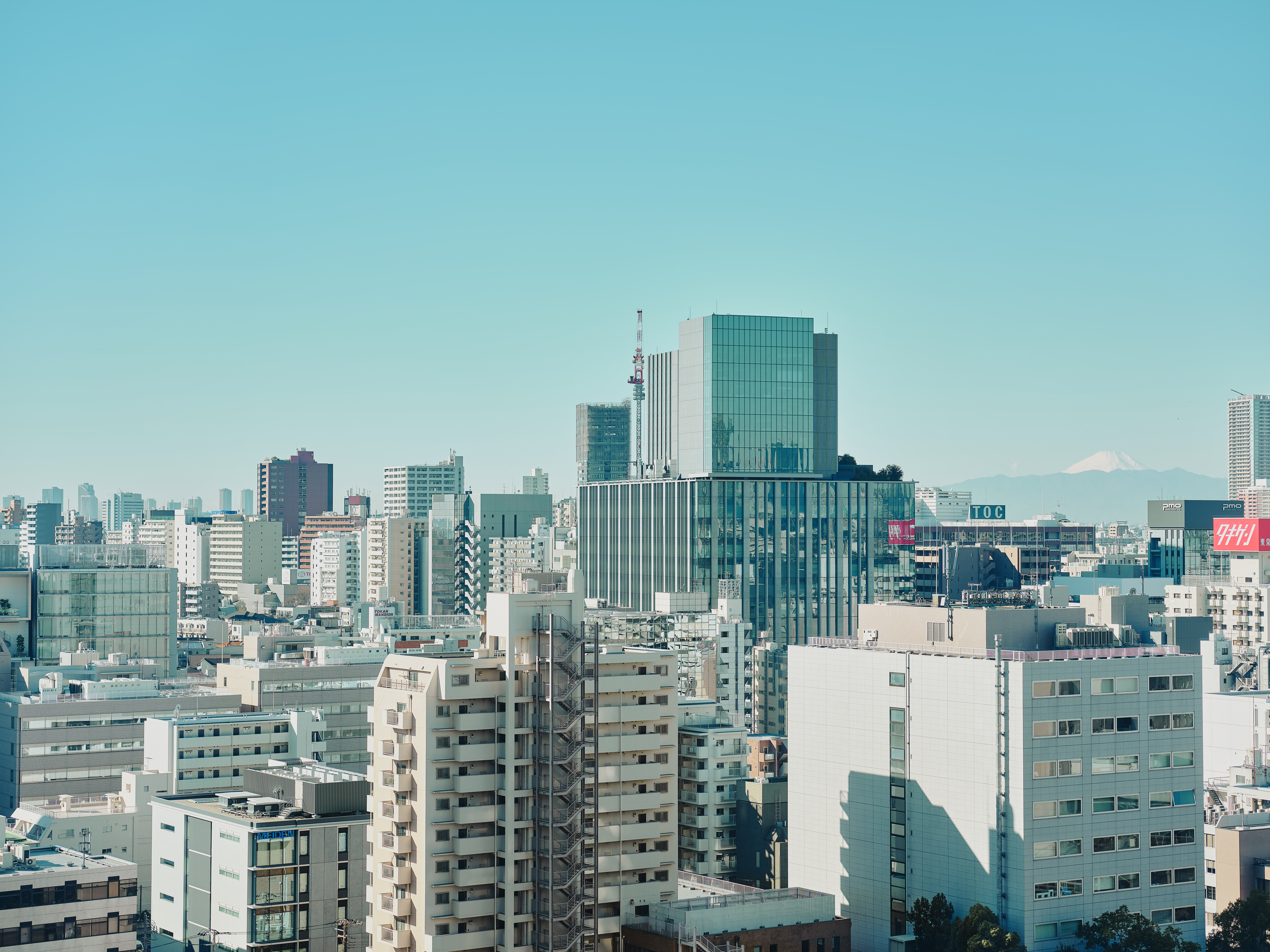 コンテンツディレクター