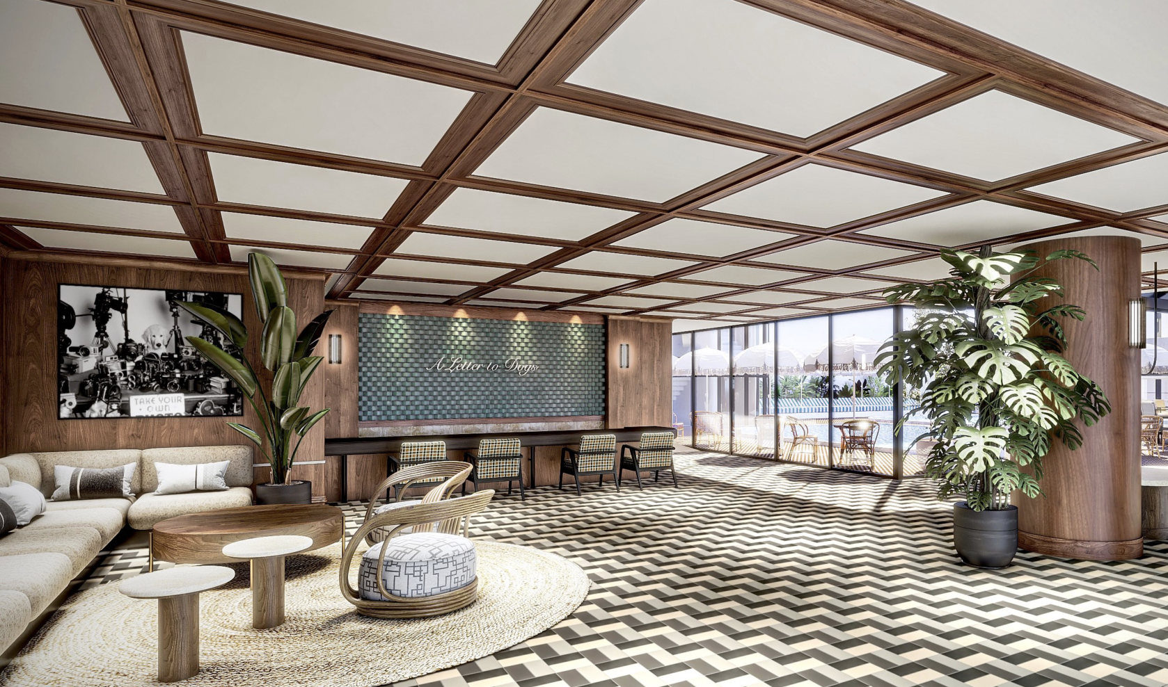 A letter to dogs｜コミュニティマネージャー