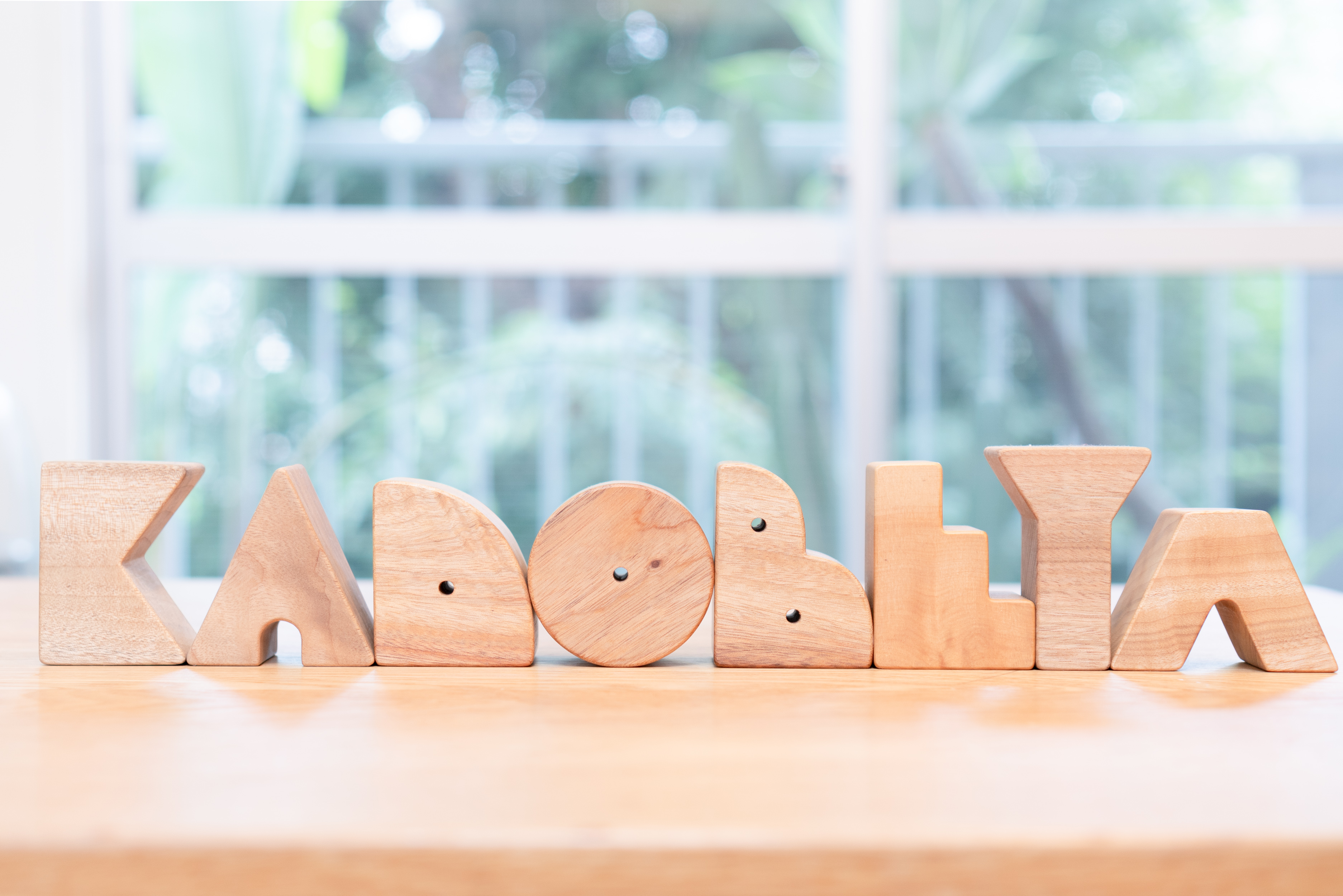 大手ECサービスブランド公式ショップのECディレクター募集