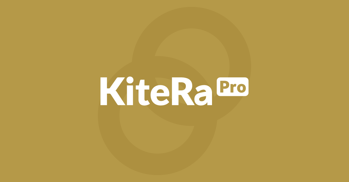 213b. マネージャー候補｜インサイドセールス［KiteRa Pro］