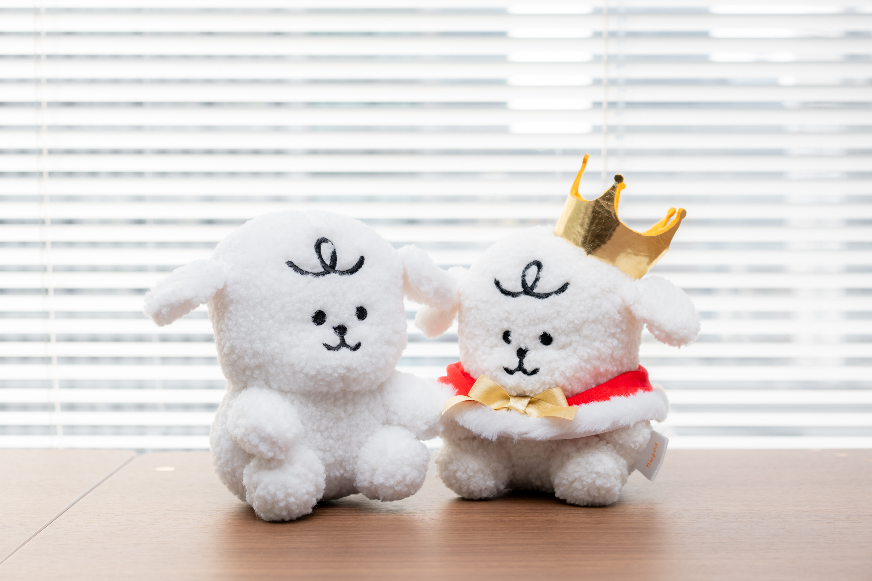 バックオフィス（Corporate）