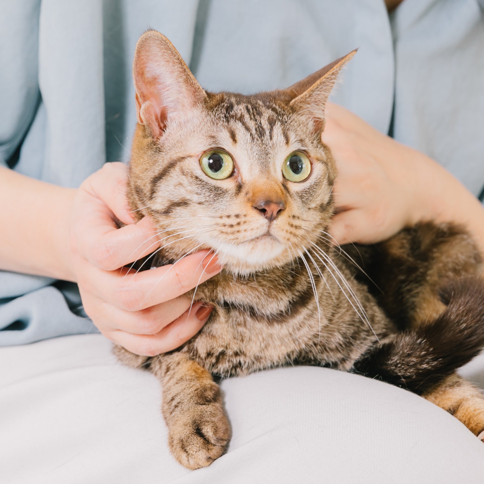 パートナーセールス（法人営業）