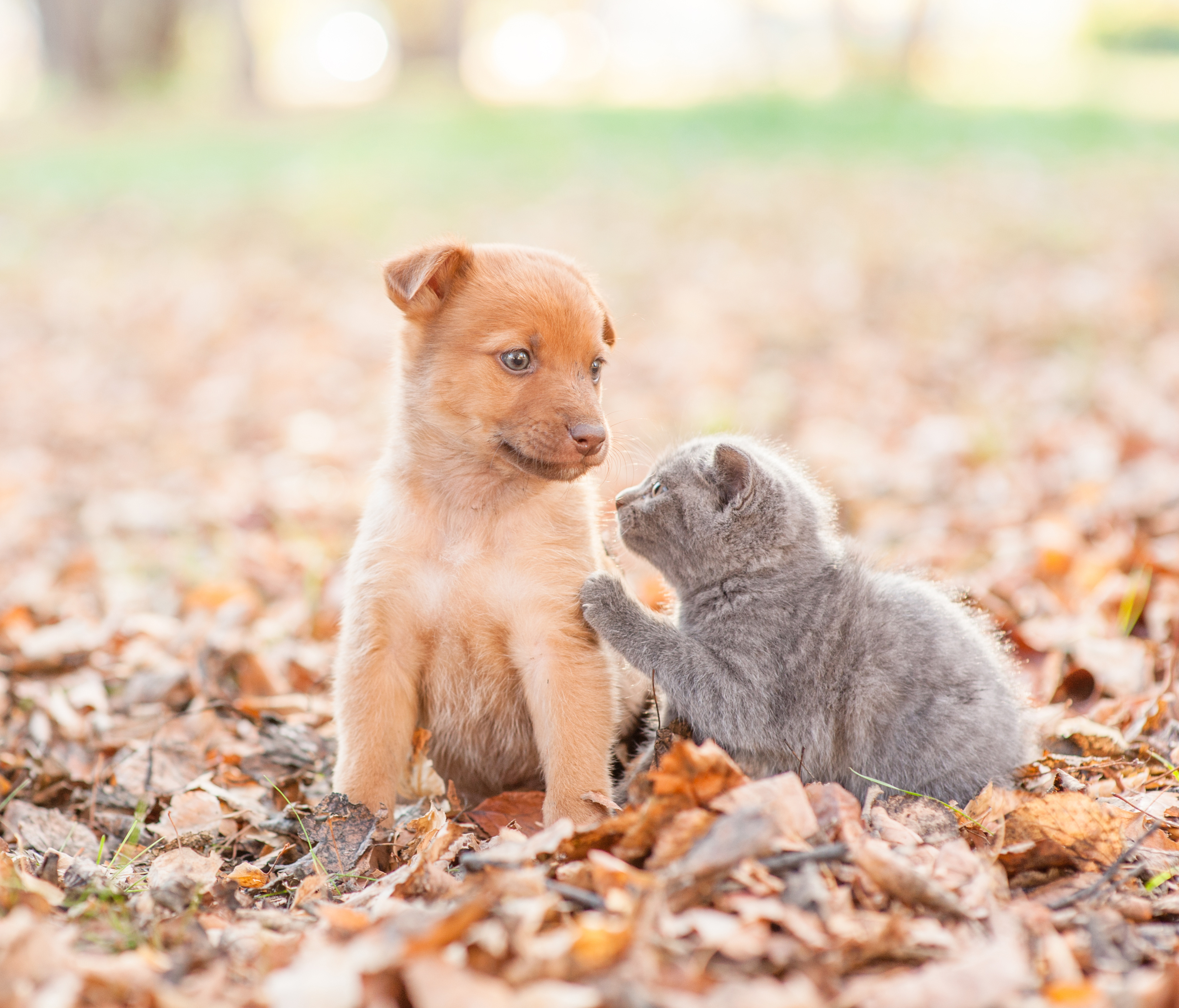 経営支援本部_新規事業企画・営業マネージャー候補