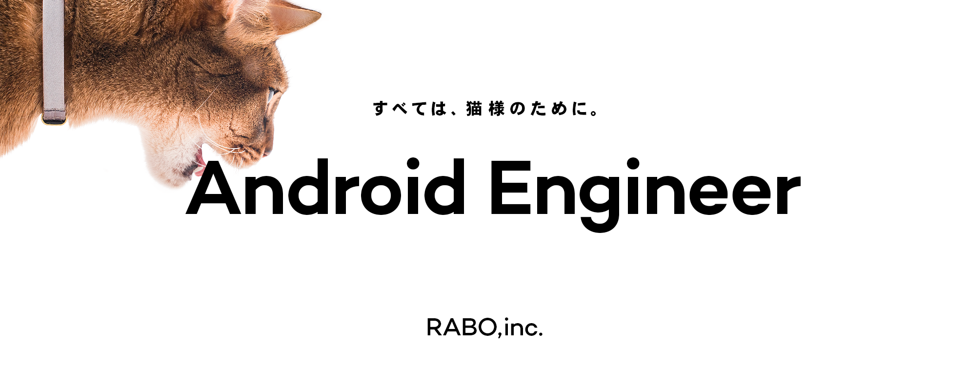猫様のためのモノづくりに人生を捧げたいandroidエンジニャー募集 株式会社rabo
