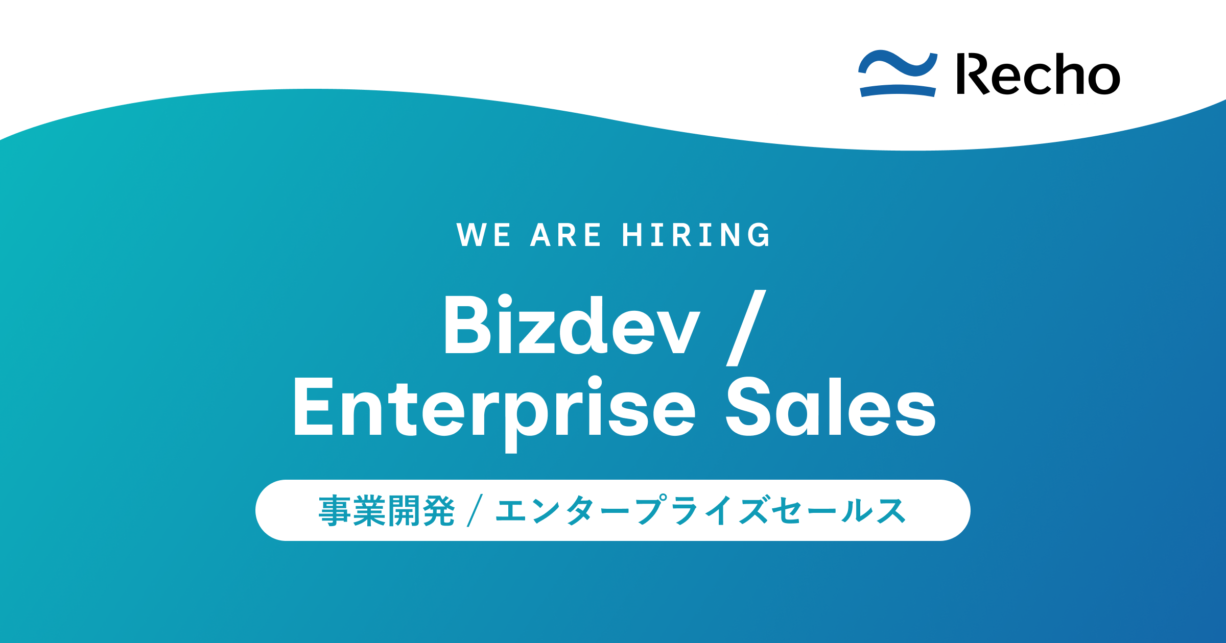 Bizdev / Enterprise Sales