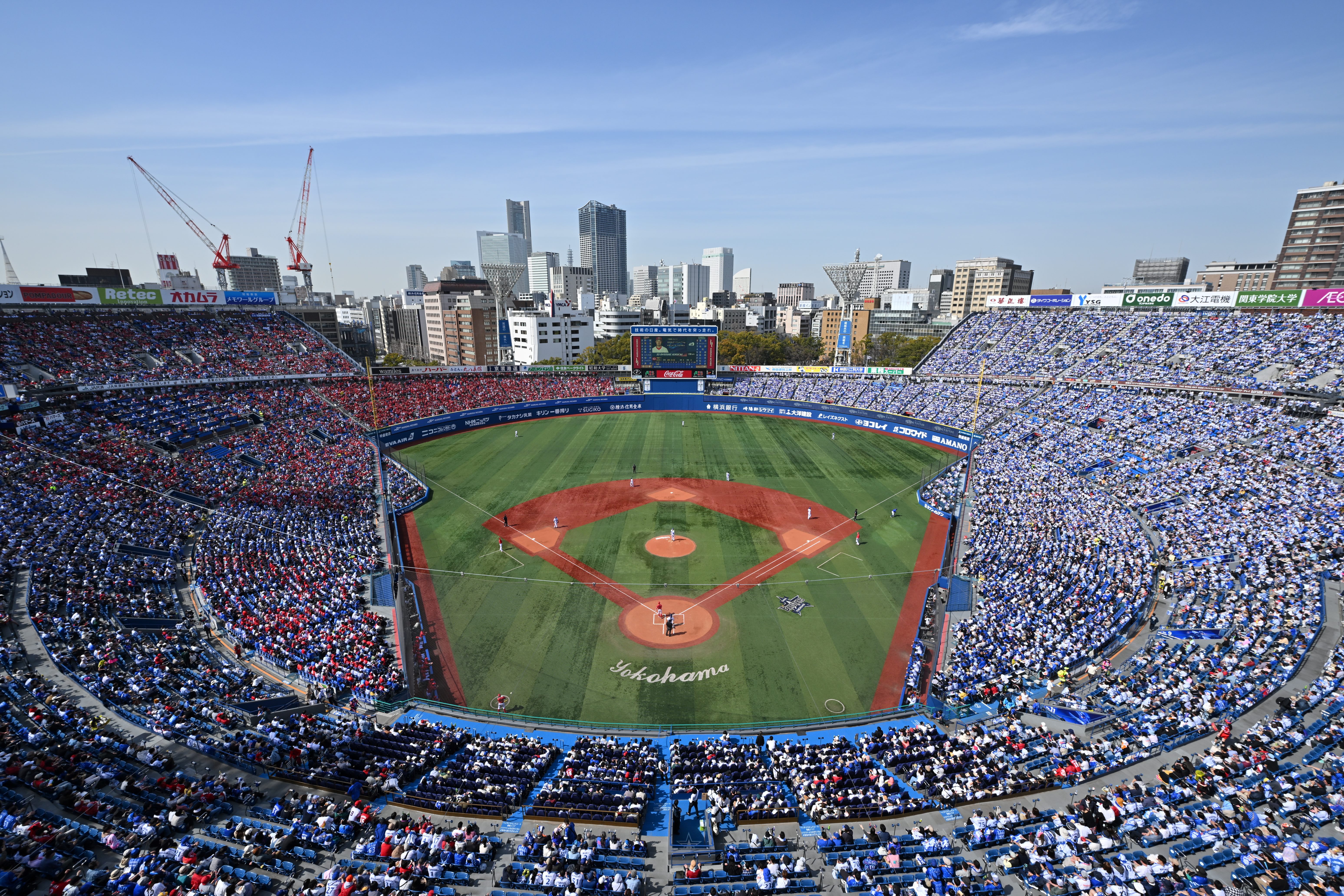 【横浜DeNAベイスターズ】全社社内プロジェクトのマネジメント担当（プロジェクトリーダー）