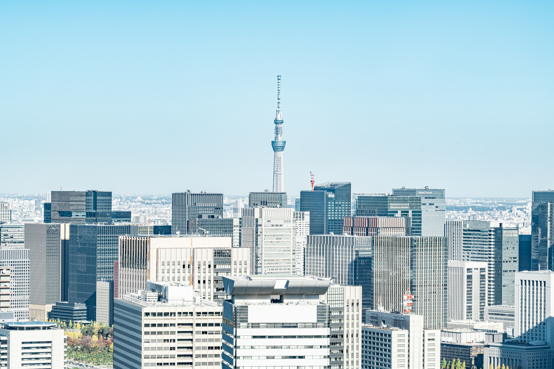 【開発仕入れ営業】（即戦力）