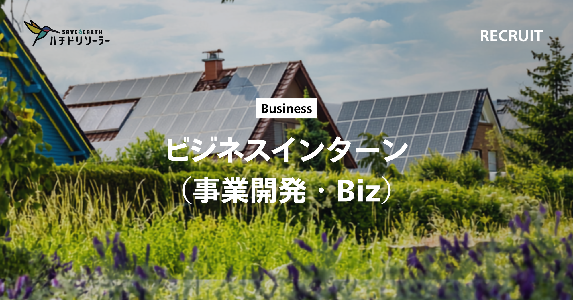ビジネスインターン（事業開発・Biz）