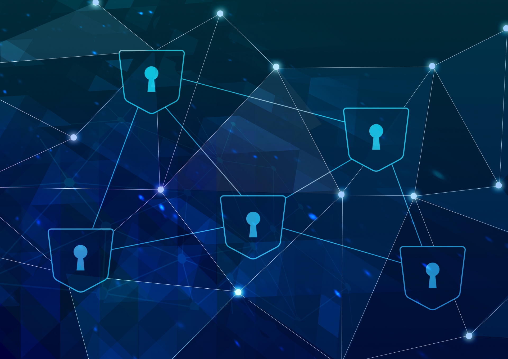 12.PM／ブロックチェーン特化（暗号資産ウォレット関連）