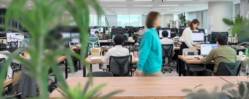 【共通】経理メンバー（決算・開示／上場準備期）