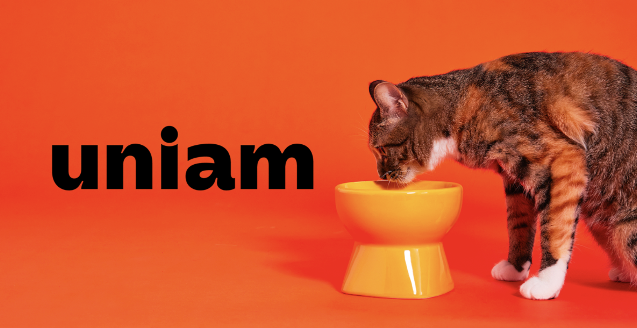 インターン（動画撮影・編集者）