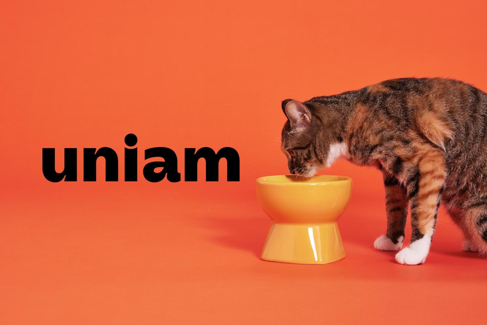 グロースマーケティング戦略プロデューサー（マーケPM）