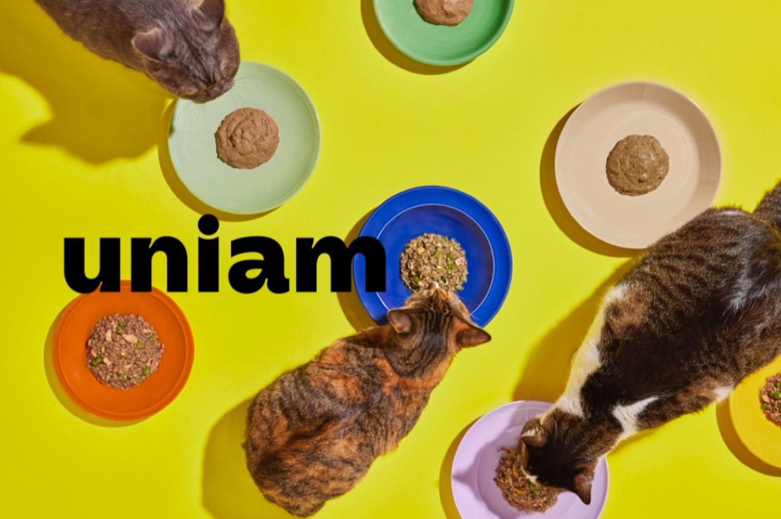 財務経理（資金調達・株主対応）