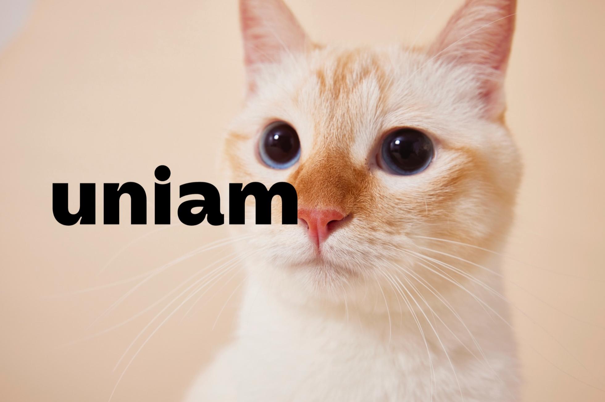 SNSマーケティング