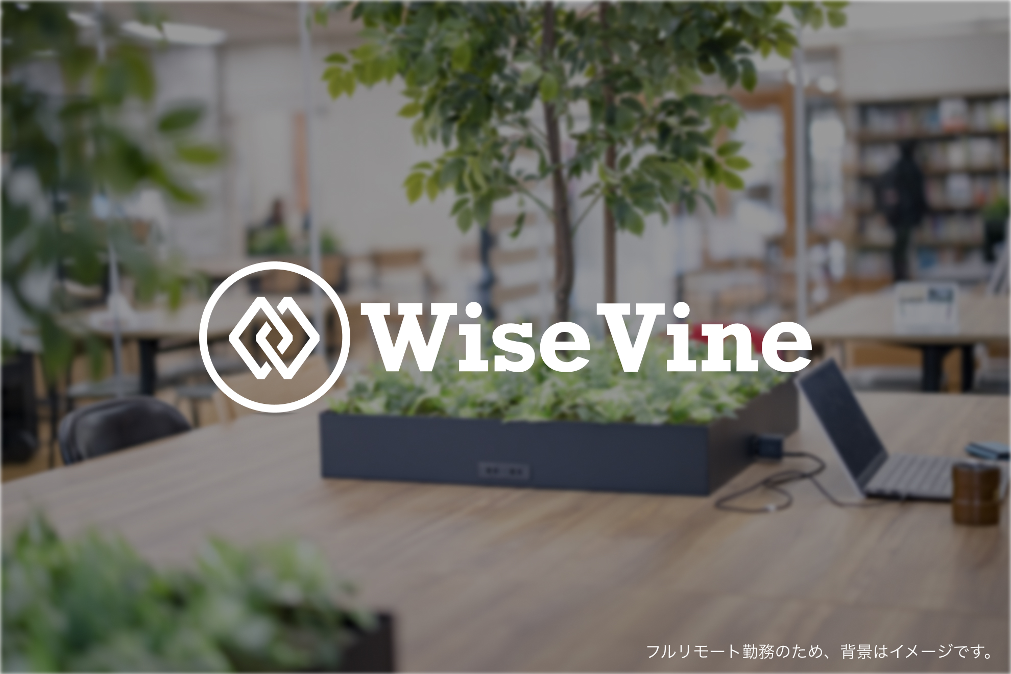 Sales Manager
