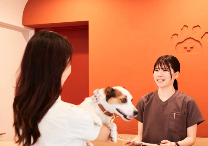 【中途採用】動物看護師  （新院 ※立川周辺エリア予定）