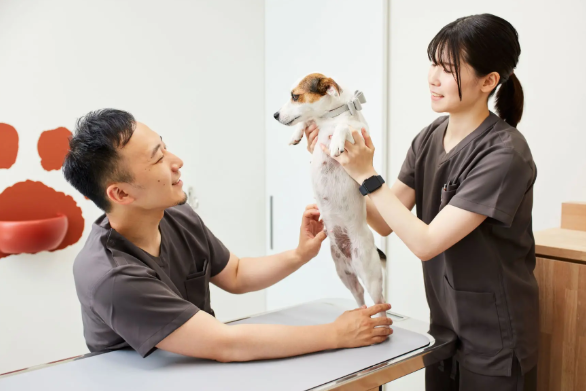 【中途採用】獣医師 （二子玉川本院） 株式会社KINS