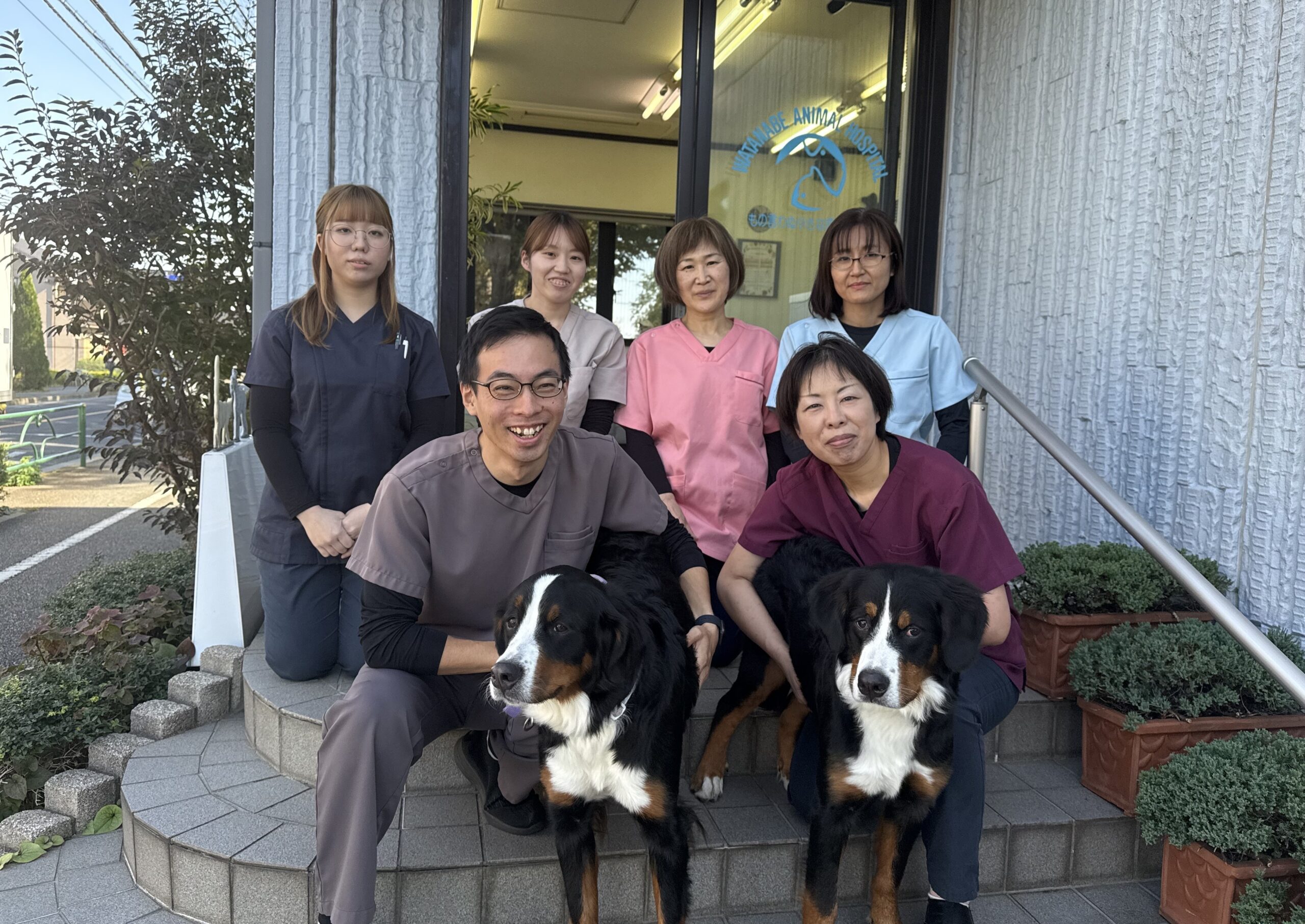 【急成長中の動物病院】株式会社KINS / KINS WITH動物病院（立川院）/ 動物看護師募集